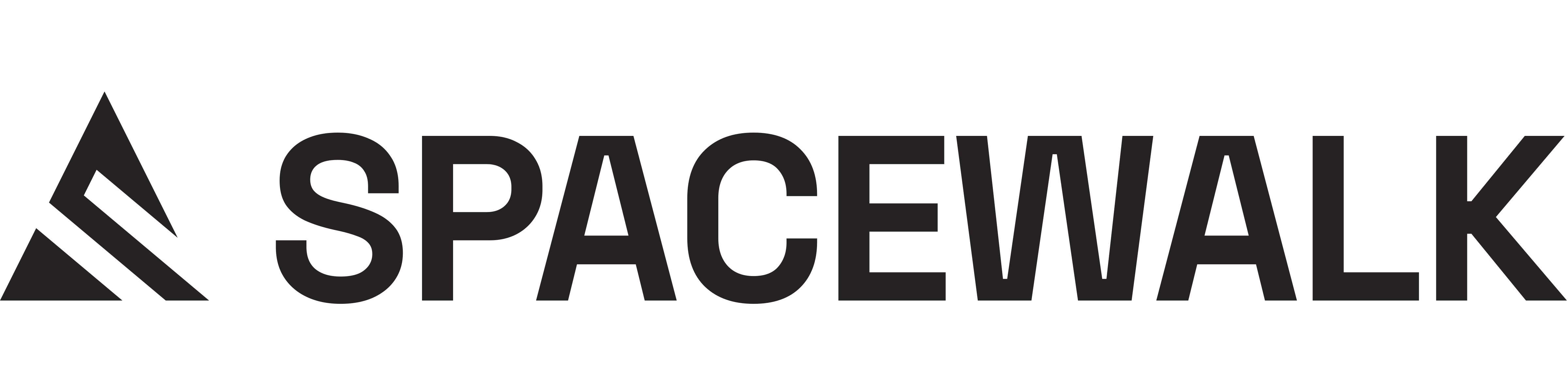 Spacewalk AI Logo